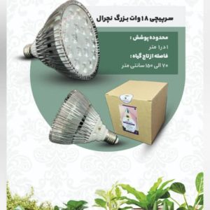 WhatsApp Image 2025-11-28 at 16.41.30