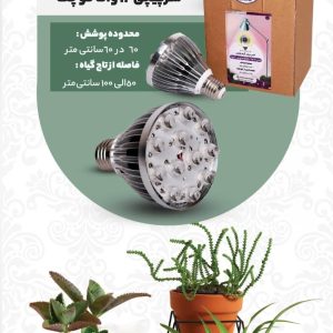 WhatsApp Image 2025-11-28 at 16.41.31